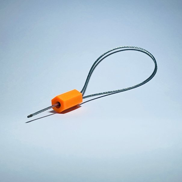 Cable Seals